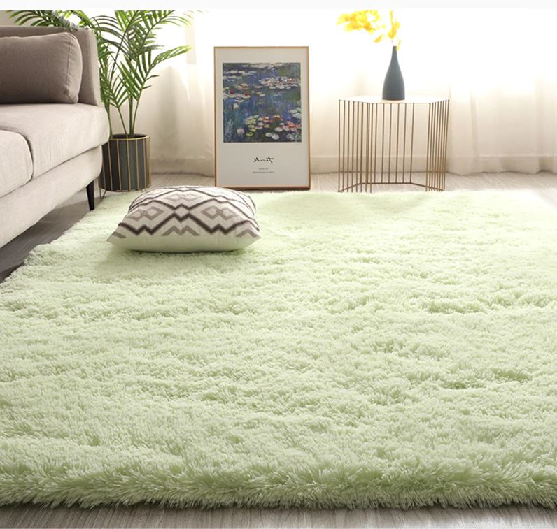  Carpet Rugs for Bedroom/Living Room